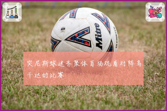 突尼斯球迷齐聚体育场观看对阵乌干达的比赛