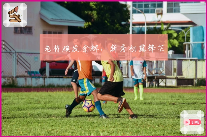 老将焕发余辉，新秀初露锋芒