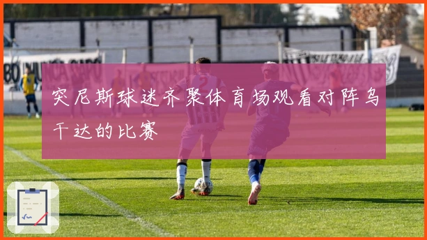 突尼斯球迷齐聚体育场观看对阵乌干达的比赛